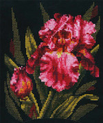 Broderikit Andriana "Sammetiris" 18x23 cm