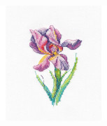 Broderikit på vattenlöslig canvas Oven "Regnbågsblomma" 7x11 cm