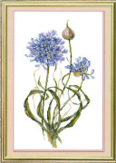 Broderikit MP Studia "Prydlök" 20x35 cm