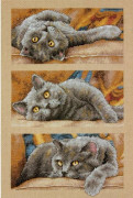 Broderikit Dimensions "Max katten" 25.4x38.1 cm