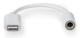 Lightning Adapter | Apple Lightning, 8-stifts | 3.5 mm Hona | Nickelplaterad | 0.10 m | Rund | PVC | Låda
