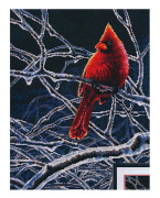 Broderikit Dimensions "Iskardinal" 28x36 cm
