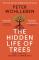 Hidden Life of Trees 9780008218430