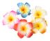 20 st 7 cm Hawaii Hawaiian Plumeria hårspännen Strandblomma Huvudbonader för bröllopsfest