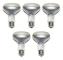 Sylvania R80 Traditionella Glödlampor Reflektorlampor 60W 80mm Dia. Dimbar Spot Light E27 Diffuserad Sockel Edison Skruvlampa 220-240
