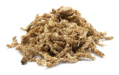 Chilensk vitmossa 250g