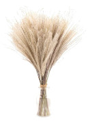 30 st 40 cm konstgjord torkad pampasgräs bohemisk stil heminredning Phragmites torkade blommor för vaser vit blombukett bröllop