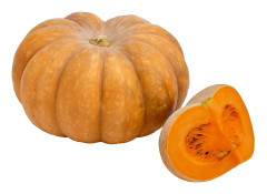 15 Frön av Butternutpumpa från Provence (Cucurbita moschata)
