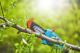 GARDENA Pole Pruner TCS 20 / 18V P4A