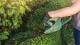 Bosch Home and Garden EASYHEDGECUT 18-45 Häcksax inkl. batteri, inklusive laddningsstation 18 V Li-Ion
