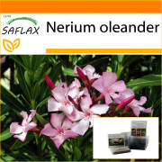 SAFLAX - Trädgård i påsen - Oleander - 50 frön - Med substrat i en passande ståpåse - Nerium oleander