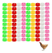 100-pack Kycklingidentifieringsbenringar, Kycklingmärken för ben