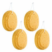 4 badsvampar