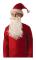 Tomte Skägg och Mustasch för Barn Standard