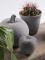 Talens Art Creation Beton Paste Jar 100 ml Pebble Grey 7508