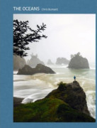 The Oceans (inbunden, eng)