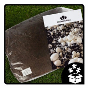 Odlingskit för vita svampar, 20 kg bal, 3-fas myceliumsubstrat, testat