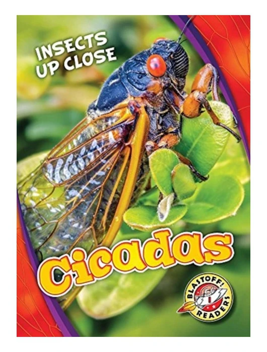 Cicadas