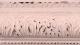 Home Decor Chalk Paint FolkArt - Vintage Victorian - 236ml