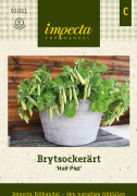 Ärt, Brytsocker-, Half Pint - Pisum sativum Half Pint