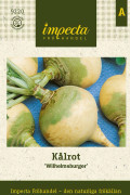 Kålrot Wilhelmsburger - Brassica napus Wilhelmsburger