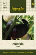 Aubergin Laura - Solanum melongena Laura