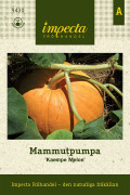 Pumpa, Mammut-, Melonowa Zólta - Cucurbita maxima Melonowa Zólta