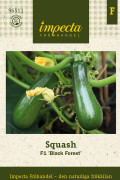 Squash, Black Forest F1 - Cucurbita pepo F1 Black Forest