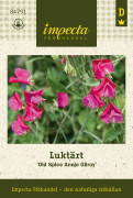 Luktärt Old Spice Annie Gilroy - Lathyrus odoratus Old Spice Annie Gilroy