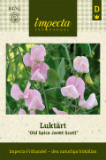 Luktärt Old Spice Janet Scott - Lathyrus odoratus Old Spice Janet Scott