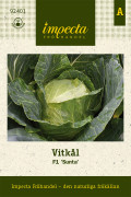 Vitkål F1 Sunta - Brassica oleracea F1 Sunta