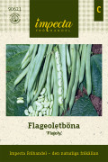 Böna, Flageolet-, Flajoly - Phaseolus vulgaris Flajoly