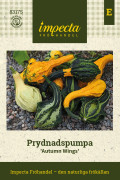 Prydnadspumpa Autumn Wings - Cucurbita pepo Autumn Wings
