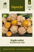 Gyllenbär, Physalis, Schönbrunner Gold, Ekologisk - Physalis peruviana Schönbrunner Gold