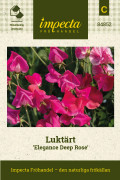 Luktärt Elegance Deep Rose - Lathyrus odoratus Elegance Deep Rose