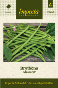 Brytböna Mascaret - Phaseolus vulgaris Mascaret