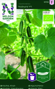 Minigurka Kaikura F1, Ekologisk - Cucumis sativus Kaikura F1