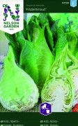 Spetskål Filderkraut - Brassica oleracea Fielderkaraut