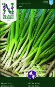 Piplök, Salladslök Kaj - Allium fistulosum Kaj