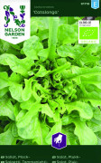 Sallat, Plock-, Catalonga, Ekologisk - Lactuca sativa Catalonga