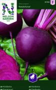 Rödbeta Redshine - Beta vulgaris Redshine