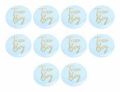 10 st Kön avslöjande knappnålar plåt Babyshower festgåvor Dekorationstillbehör Blå blå