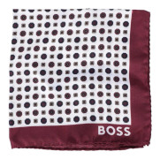 Boss Herr Logo Bröstnäsduk One Size Natur/Vinröd