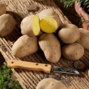 Sättpotatis Charlotte Ekologisk (Storlek: 1kg)