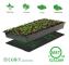 Elektrisk värmematta för 1 rum, uppvärmd matta för plantor med elektronisk trädgårdsodling och groddning med förvaringsväska 50 x 52,5 cm