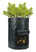 Grow Bag - Grow Organically on the Balcony Green