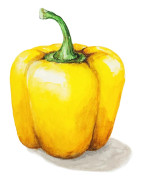 Paprika Cubo Yellow - Capsicum annuum Cubo Yellow