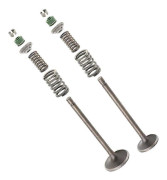 Passar Honda XR200 XR200R 1980 - 2002 ATC200/E/ES/M/X/S Cylinderhuvud Insug och Avgasventilfjädertätningssats XL185S ATV Motorcykel - WELLNGS
