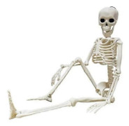 Skelett Full Storlek Ställbart Mänskligt Halloween Party Rekvisita Spökhus Dekor (FMY) 40CM