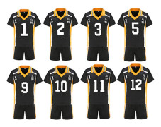 Anime Haikyuu Cosplay Costume Karasuno High School Volleyboll C HM